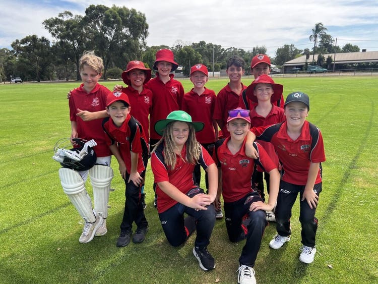 Cricket knockout 2025